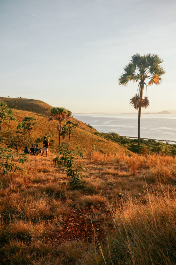 Komodo islands